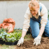 chaos gardening