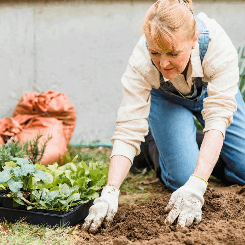 chaos gardening