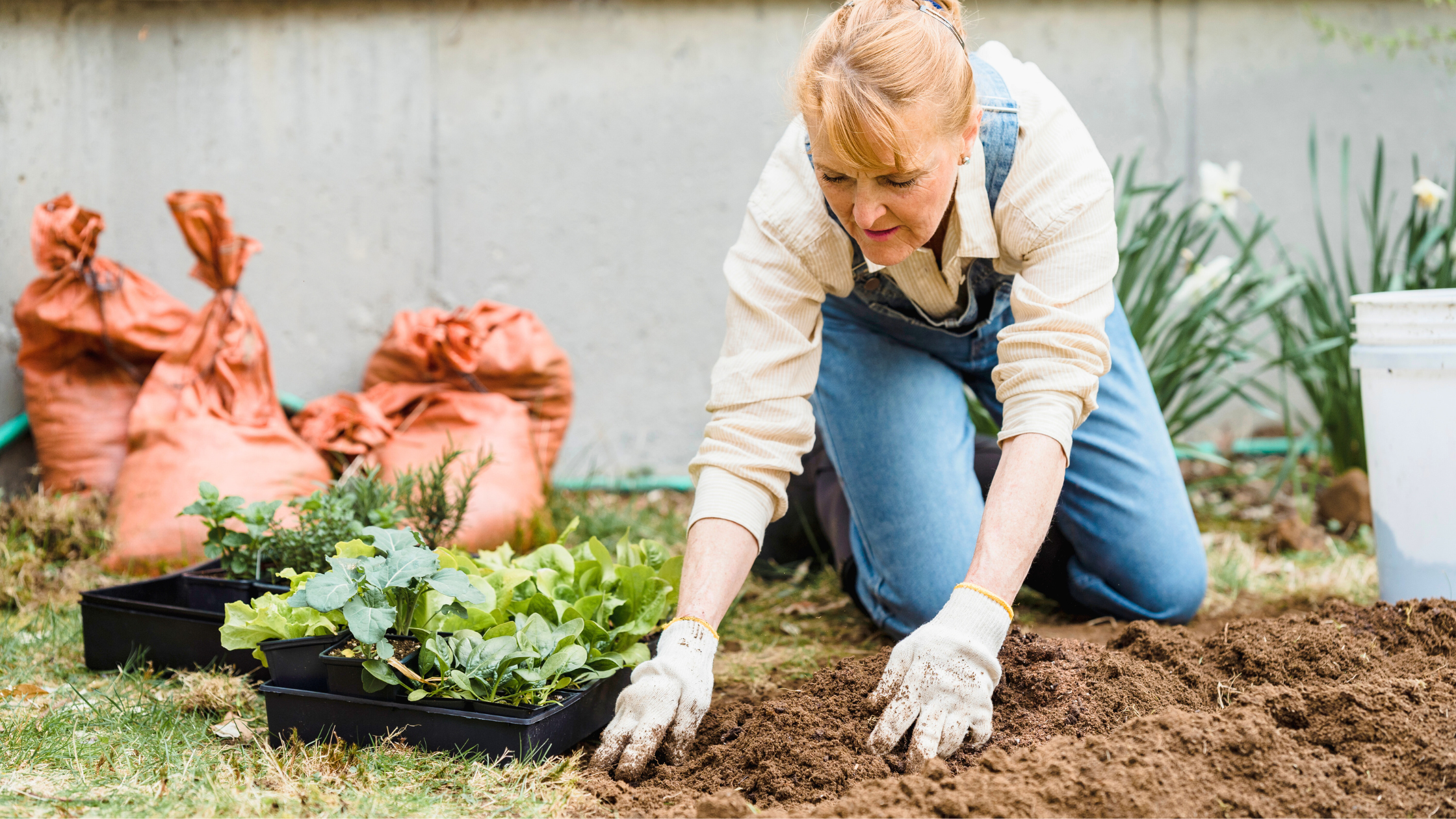 7 Surprising Chaos Gardening Mistakes That Can Ruin Your Curb Appeal